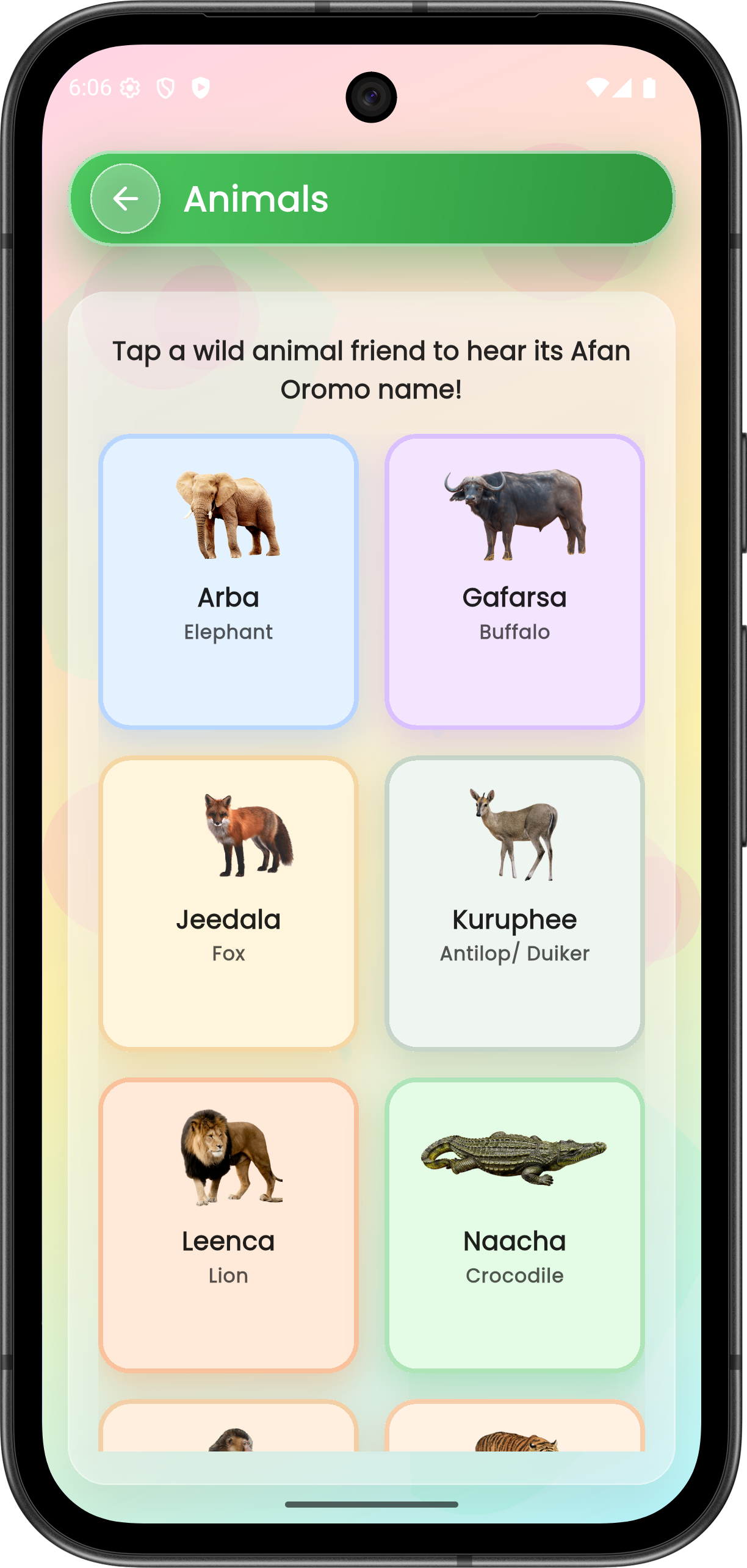 Animals learning screen on phone